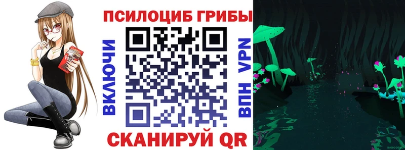 Псилоцибиновые грибы Cubensis  Сурск 